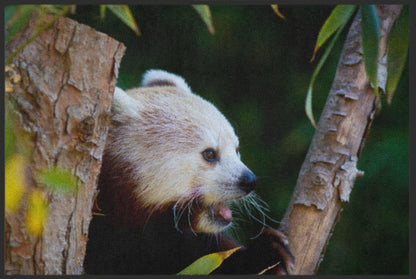 Fussmatte Roter Panda 6260 - Fussmatte Individuell