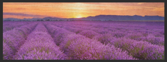 Küchenteppich Lavendel 4366 - Fussmatte Individuell